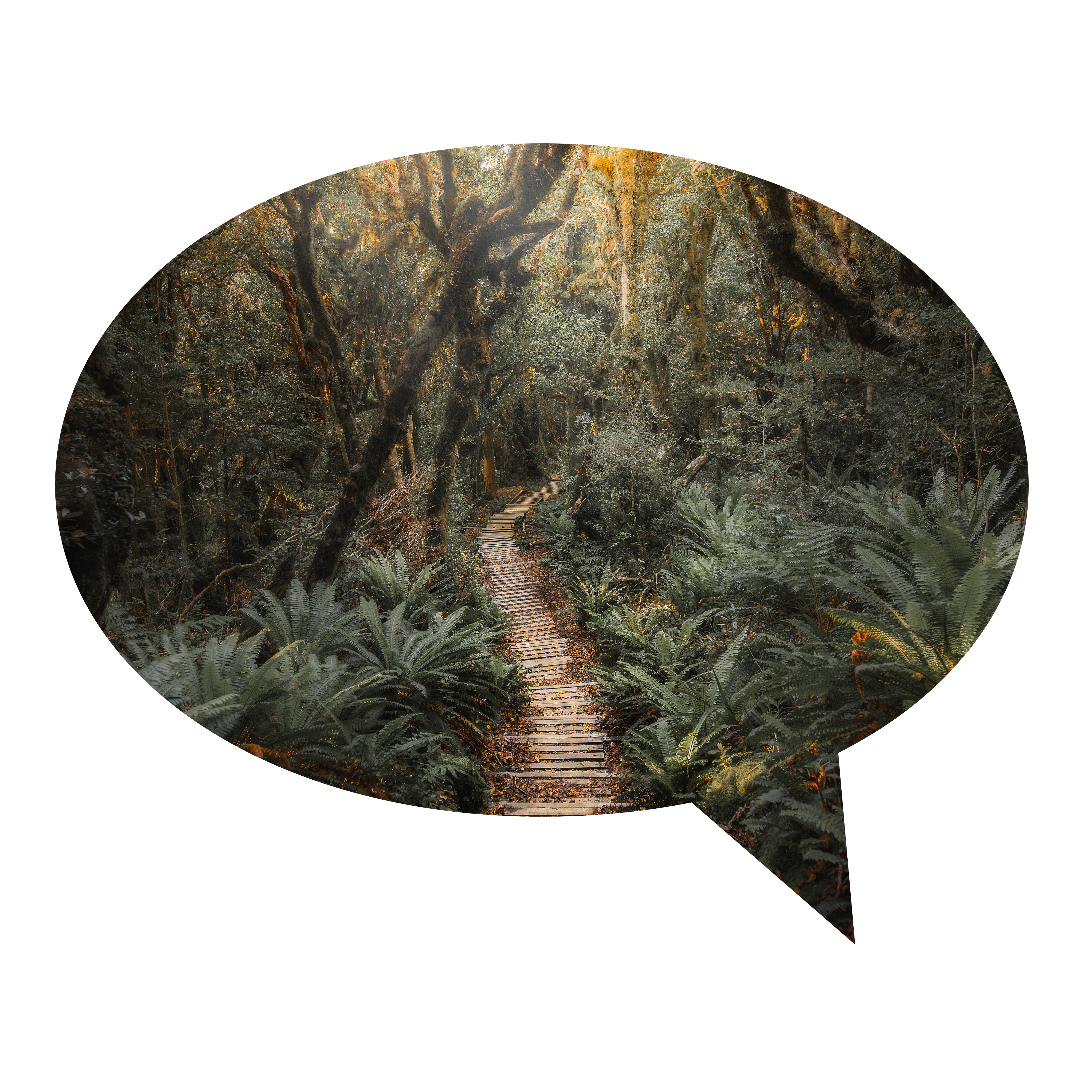 Sprechblase auf weißem Hintergrund, innerhalb der Sprechblase ein Wald mit grünen Bäumen und ein sichtbarer Weg; symbolisiert klare und wirkungsvolle Bildsprache im Marketing.